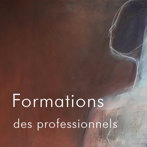 Formations pour les professionnels