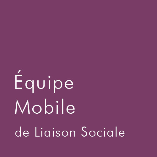 Equipe mobile de liaison sociale