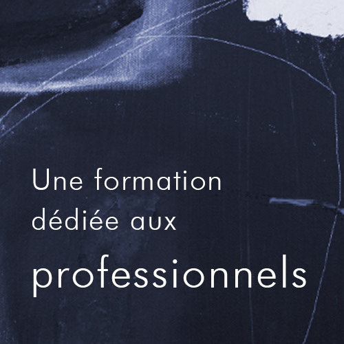 Formation pour les professionnels